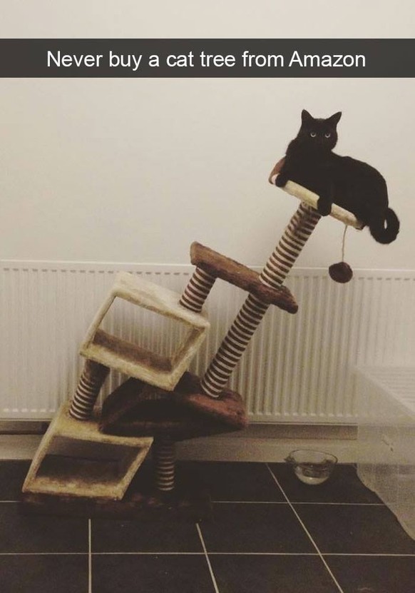Catsnap
Katze, lustig
https://imgur.com/gallery/tNTMZ