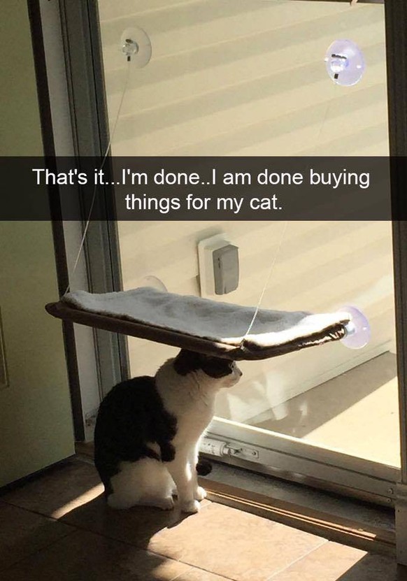 Catsnap
Katze lustig
https://imgur.com/gallery/tNTMZ