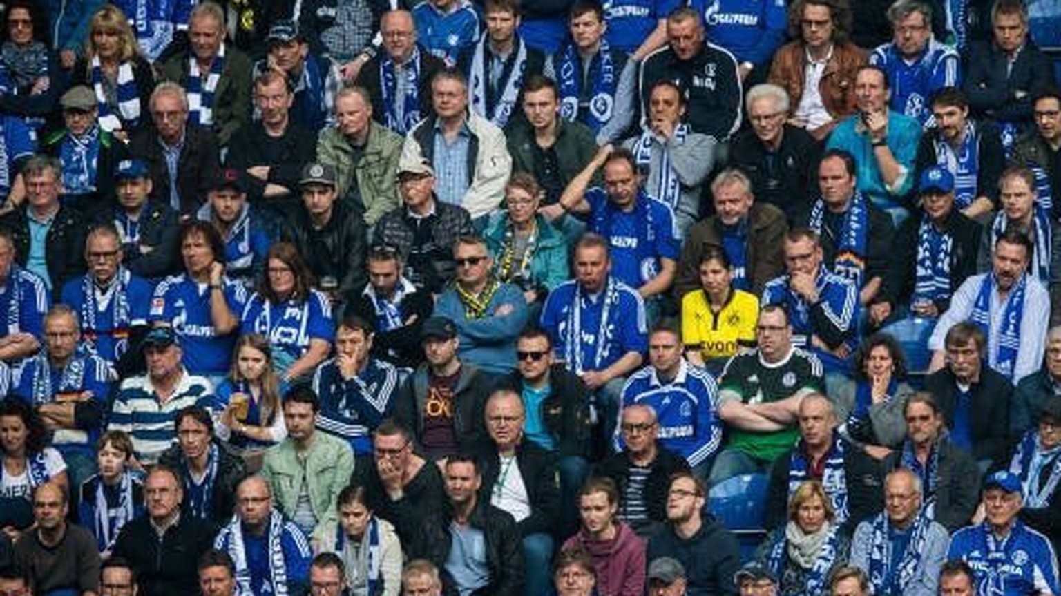 Leicht zu erkennen: BVB-Fan Steffi beim Revierderby auf Schalke.