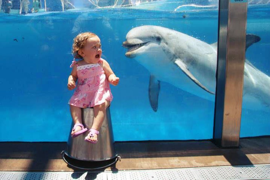 Symbolbild: Meine erste Begegnung mit einem Delfin.