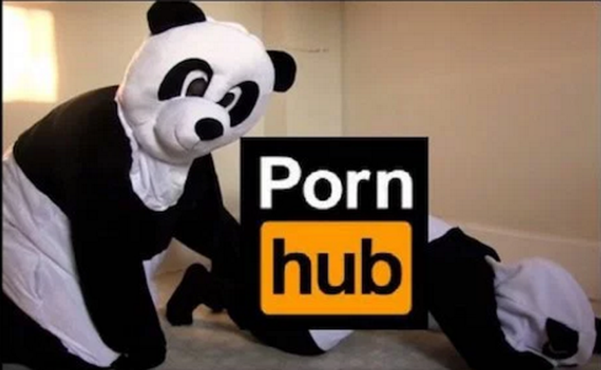 Pornhub liegt das Sexleben von Pandas sehr am Herzen.