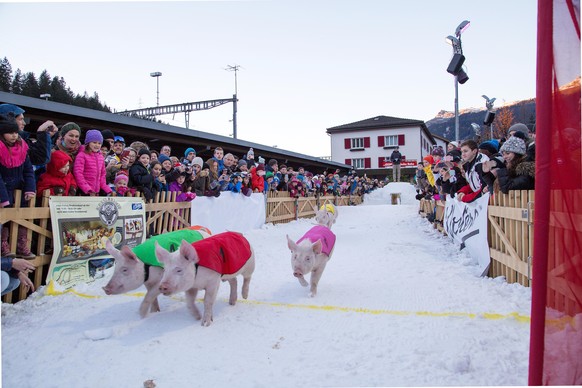 Hotschrennen in Davos-Klosters an Silvester
