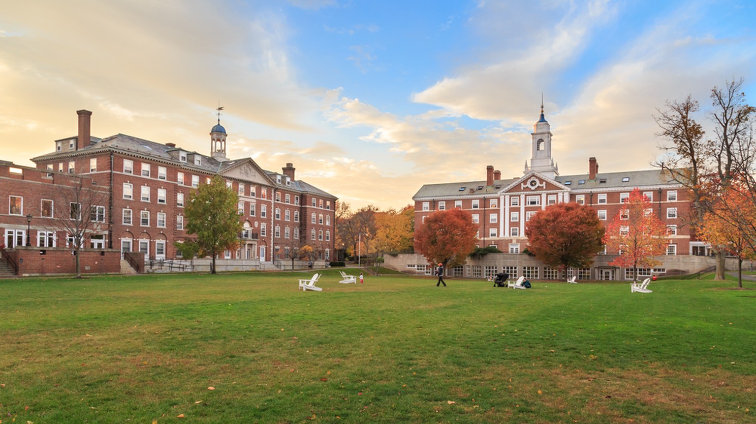 Harvard University, Campus