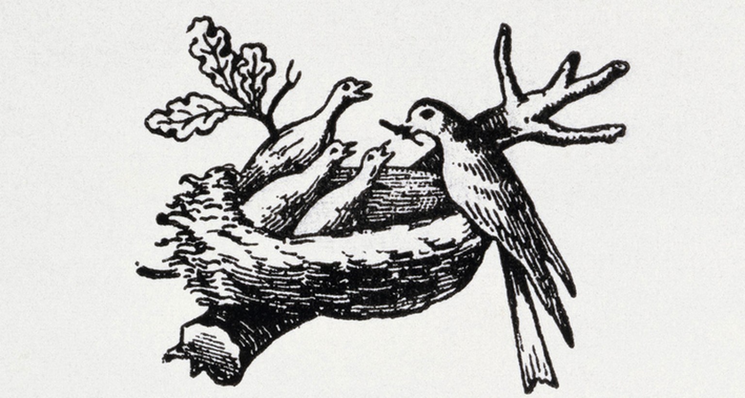&nbsp;Beim ursprünglichen Logo von 1868 hatte der Vogel noch einen Wurm im Schnabel.