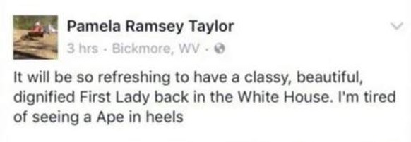 Rassistischer Tweet über Michelle Obama von Pamela Ramsey Taylor