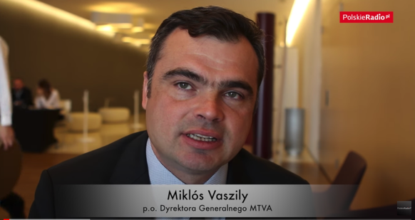 Miklos Vaszily: Orbans Mann fürs Grobe.