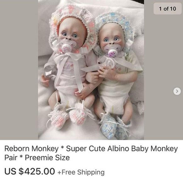 Wiedergeborene Affen * super-süsses Albino-Baby-Affen-Paar * In Frühchen-Grösse