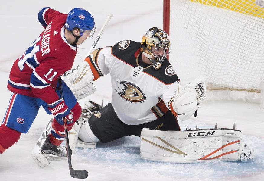 Anaheim Ducks goaltender Reto Berra (1) makes a glove save as Montreal Canadiens right wing Brendan Gallagher (11) looks for a rebound during the second period of an NHL hockey of an NHL hockey game i ...