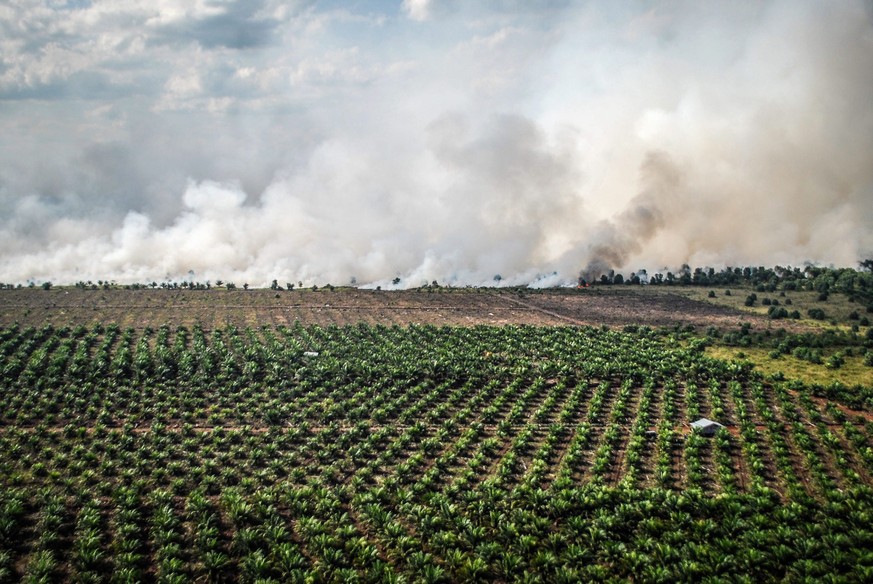ARCHIV - ZUR WINTERSESSION 2019 MIT DEM THEMA PALMOEL IN INDONESIEN, STELLEN WIR IHNEN FOLGENDES BILDMATERIAL ZUR VERFUEGUNG - (01/42) Smoke rises from burning land during the clearing of more forests ...