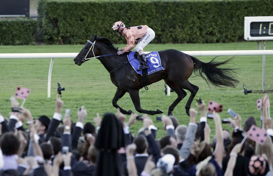 FILE - In this Saturday, April 13, 2013 file photo, Black Caviar, ridden by Luke Nolen, crosses the finishing post to win the TJ Smith Stakes at Royal Randwick in Sydney, Australia. The unbeaten Austr ...