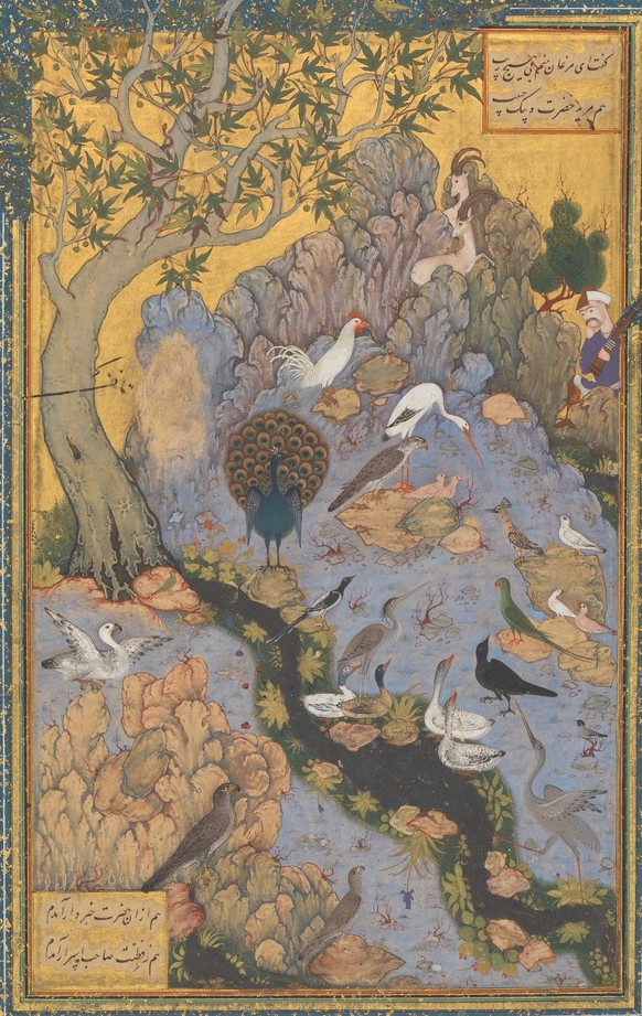„Konferenz der Vögel“, Illustration von Habib Allah. Der Wiedehopf, Mitte rechts, instruiert die anderen Vögel über den Sufi-Pfad.
wikimedia