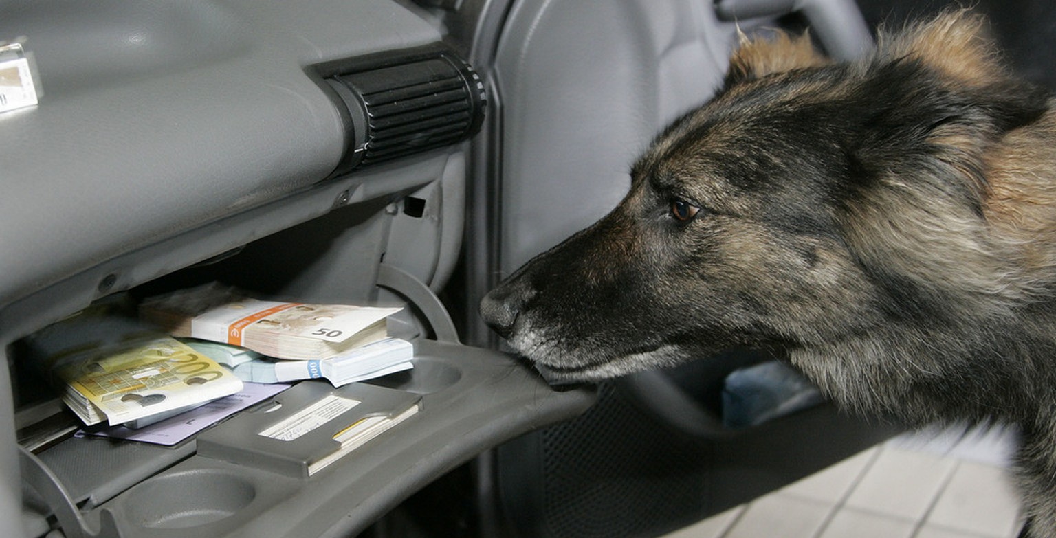 Näschen für Bares: Der deutsche Grenzschutz setzt auch Hunde ein zum Aufspüren von Schwarzgeldern.