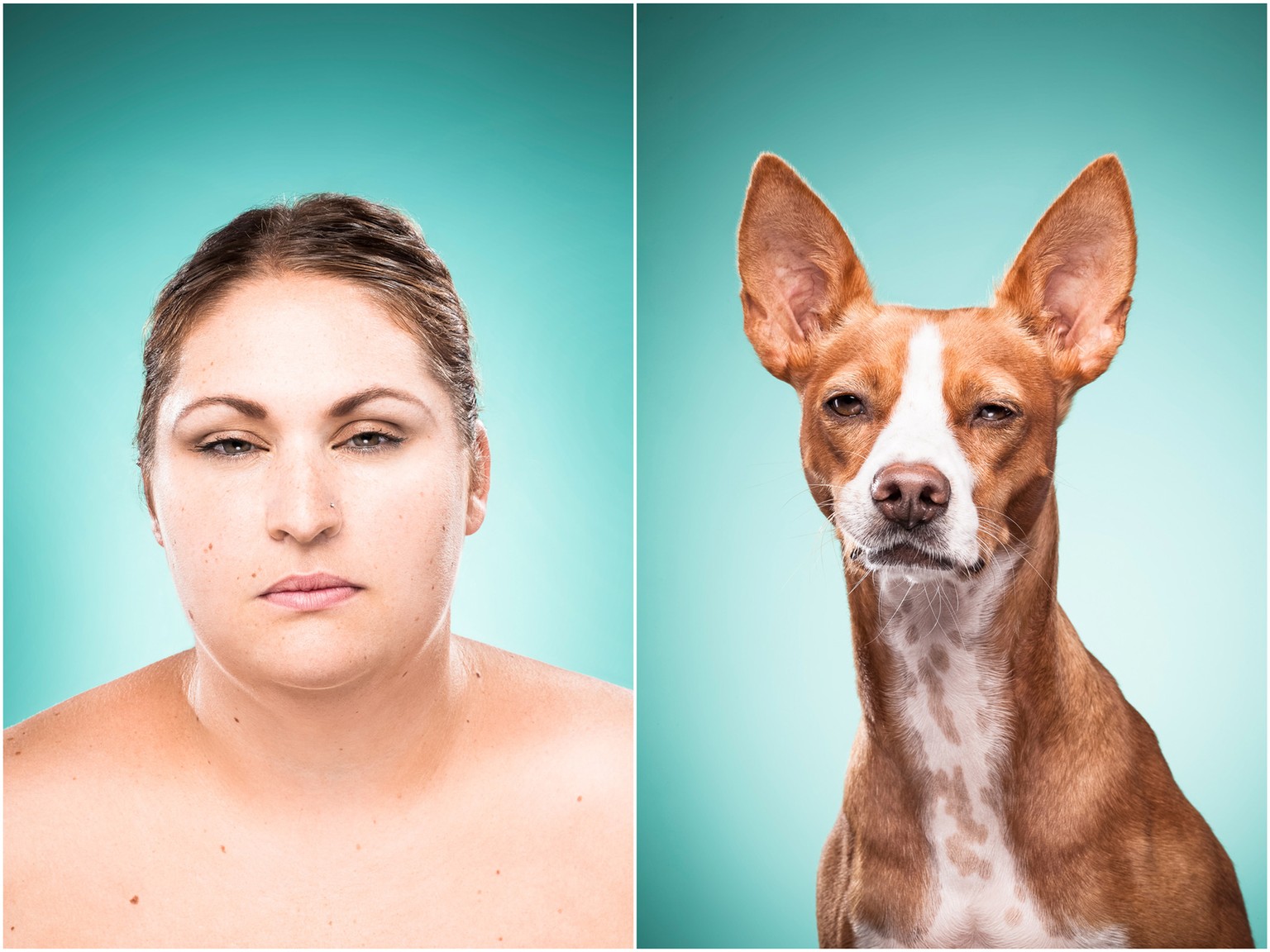 Hunde Die Aussehen Wie Ihre Besitzer