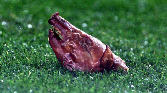 A pigs head is seen on the pitch after it was thrown at Real Madrid&#039;s Portugues player Luis Figo during a Spanish league match against Barcelona in Barcelona, Spain Saturday Nov. 23, 2002. Figo,  ...