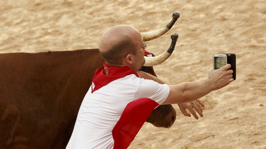 A reveler is tossed as he tries to get a snapshot next to a brave cow in the bullring during a daily amusement event after the running of the bulls in the 2016 San Fermin fiestas in Pamplona, Spain, T ...