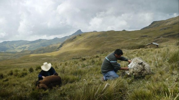 Máxima Acuña und ihr Mann Jaime Chaupe halten auf ihrem Land Schafe. Aus der Wolle strickt Máxima Kleider, die sie auf dem Markt verkauft.