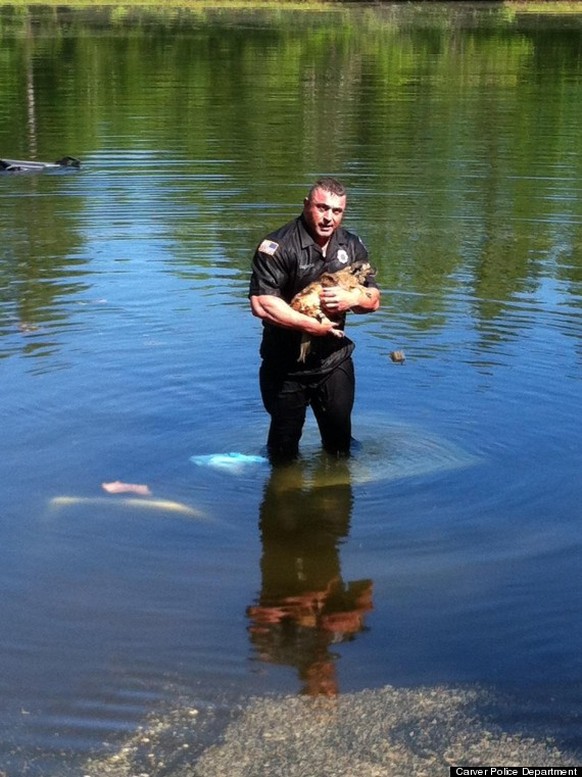 Officer David Harriman rettete den Hund aus einem versunkenen Truck.