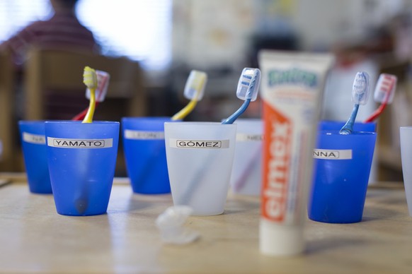 Tooth brushes and cups at the day school Bungertwies in Zurich, Switzerland, on March 12, 2015. The school has two kindergartens (1st and 2nd kindergarten year) and six classes of mixed ages (1st to 3 ...