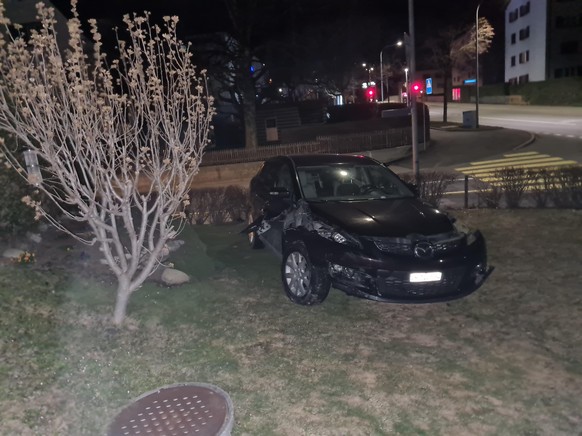 Ein Autolenker fuhr mit seinem Wagen in einen fremden Garten.