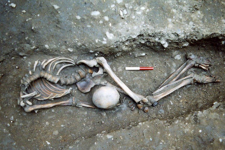 Ausgrabung von Skeletten in der Driffield Terrace, York, England
