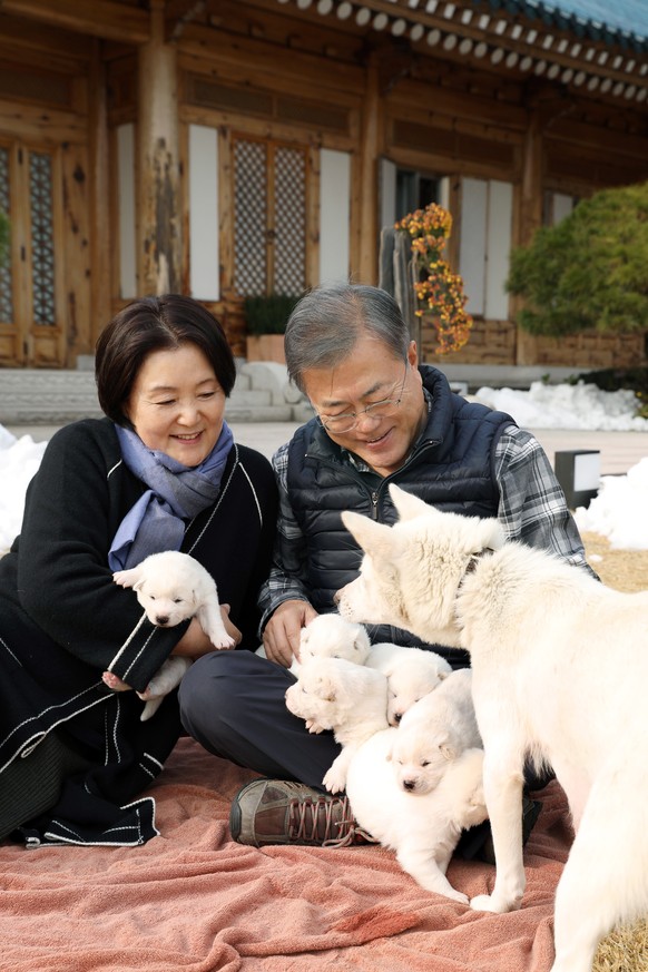 epa07190357 A handout photo made available by the South Korean President&#039;s press office (Cheong Wa Dae) shows President Moon Jae-in (R) and first lady Kim Jung-sook (L) cuddle puppies, born to a  ...