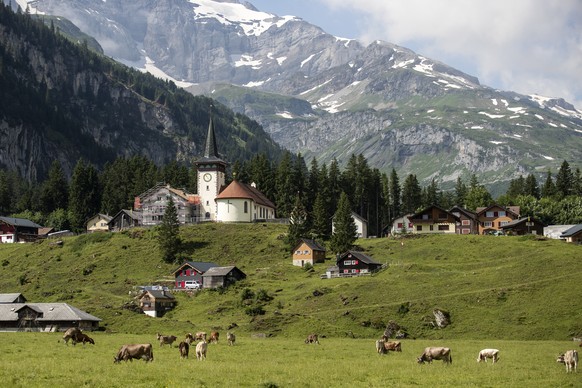 Rund 1&#039;000 Kuehe grasen auf dem Urnerboden, der groessten Kuhalp der Schweiz, am Mittwoch, 10. Juli 2019, in Spiringen. Nach ca. vier Wochen ist das Gras auf dem Urnerboden jeweils abgeweidet und ...