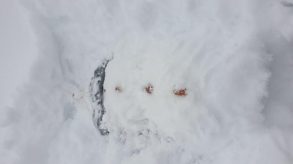 tel: 
..habe ihn begraben im schnee gefunden...
Ich glaube er wollte einen schneeengel machen