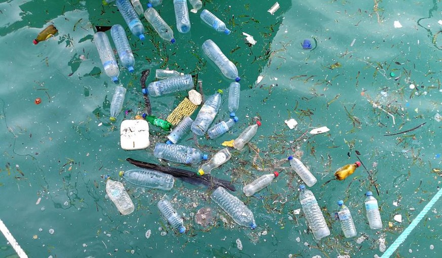 Plastikmüll, PET-Flaschen, Plastikflaschen (Symbolbild)