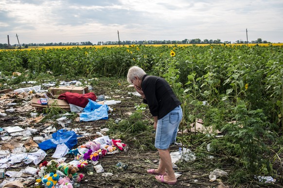 Schierer Unglaube: Eine Frau betrachtet im Juli 2014 nahe der ostukrainischen Stadt Tores die Trümmer der Unglücksmaschine. &nbsp;