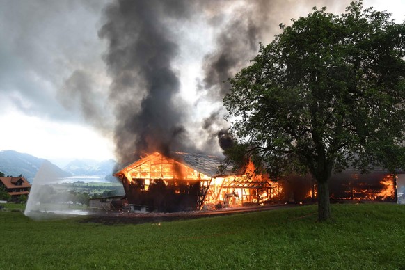 In einer Scheune in Alpnach Dorf ist am 22. Juni 2021 ein Brand ausgebrochen. Der Grossteil des Viehs konnte gerettet werden. Personen wurden keine verletzt. An der Scheune entstand Totalschaden.