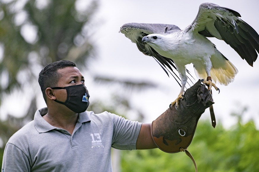 epaselect epa08539829 A zookeeper wears a protective face mask at the reopened Bali Zoo, in Bali, Indonesia, 11 July 2020. The Indonesian government has imposed a new set of regulations known as &#039 ...