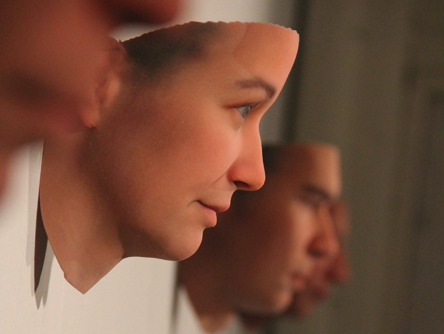 Völlig Fremde schauen dich an: 3D-Porträts aus Heather Dewey-Hagborgs Projekt «Stranger Visions».
