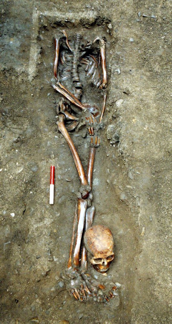 Ausgrabung von Skeletten in der Driffield Terrace, York, England