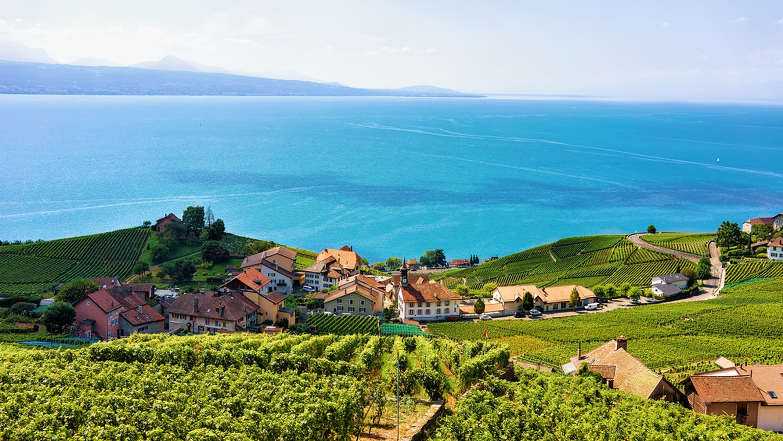 Lavaux