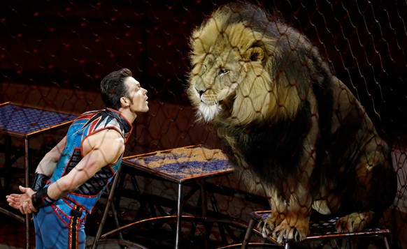 epa05979772 Animal trainer Alexander Lacey performs with Maasai the lion at the Ringling Bros. and Barnum &amp; Bailey circus at the Nassau Coliseum in Uniondale, New York, USA, 21 May 2017. The circu ...