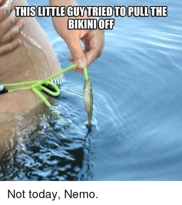 Fisch Bikini
https://me.me/i/21446838
