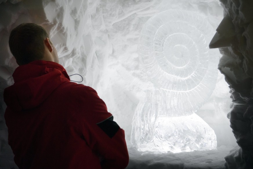 epa06403899 A visitor looks at ice sculptures of dinosaurs and other prehistoric animals on display in an artificial cave measuring more than 30 metres long and 15 metres wide and made with 1,200 m3 o ...