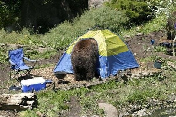 Camping Fail