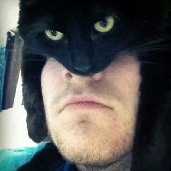 Schwarze Katze als Batman-Maske