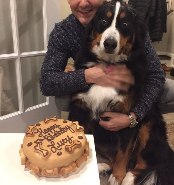 Hund kriegt eine Geburtstagstorte.
Cute News
https://imgur.com/gallery/CkGOWGG