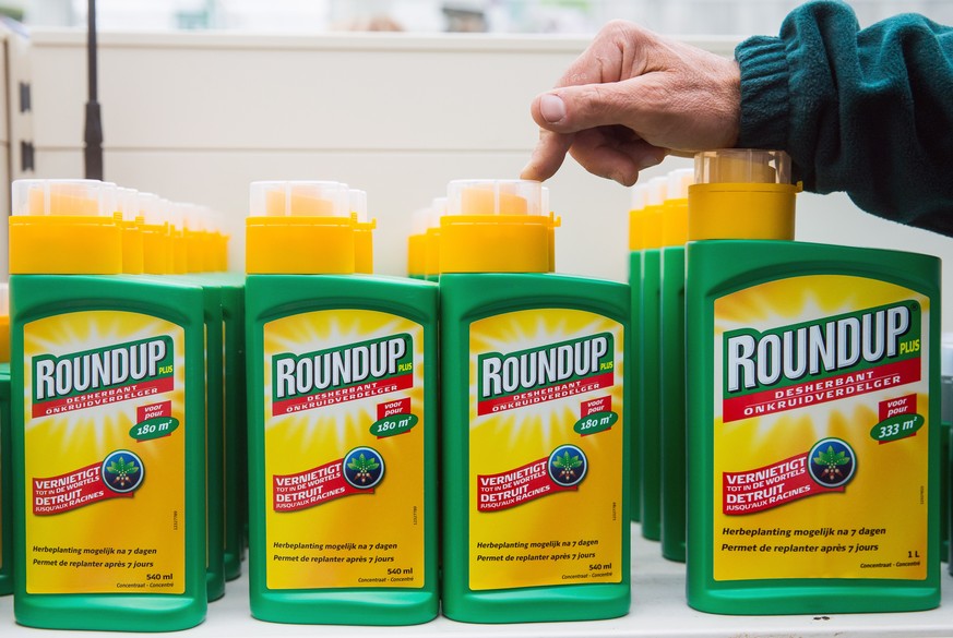 epa07568910 (FILE) - A man shows bottles of &#039;Roundup&#039; wich contains glyphosate in a garden store in Brussels, 23 October 2017, reissued 14 May 2019. Media reports on 14 May 2019 state that a ...