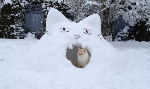 Katze in einer Schneeburg, die wie eine Katze aussieht.

http://imgur.com/gallery/0IMtEFF