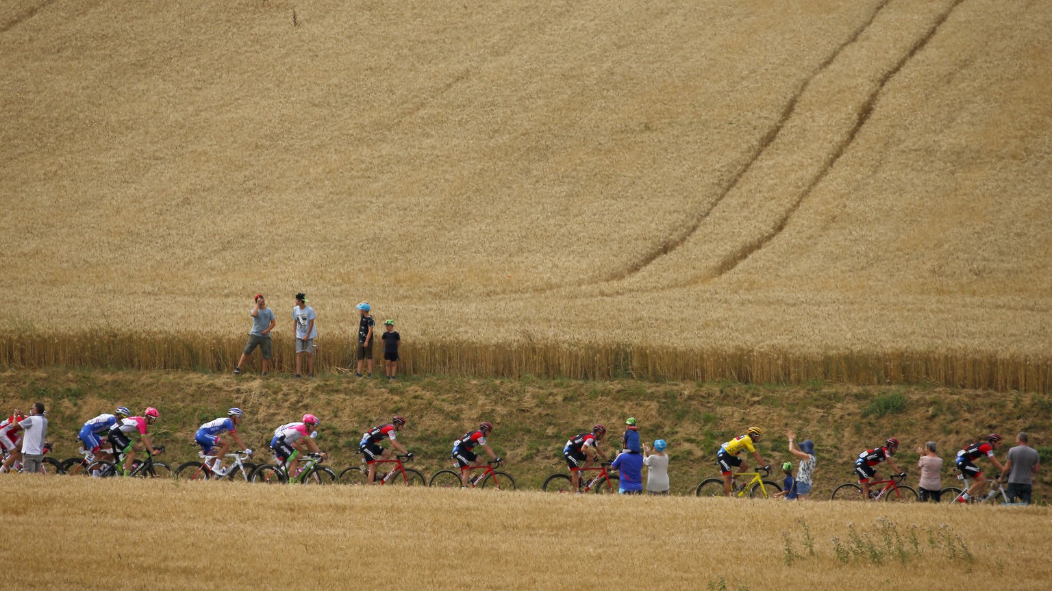 The pack with Belgium&#039;s Greg van Avermaet, wearing the overall leader&#039;s yellow jersey, rides through wheat fields during the eight stage of the Tour de France cycling race over 181 kilometer ...