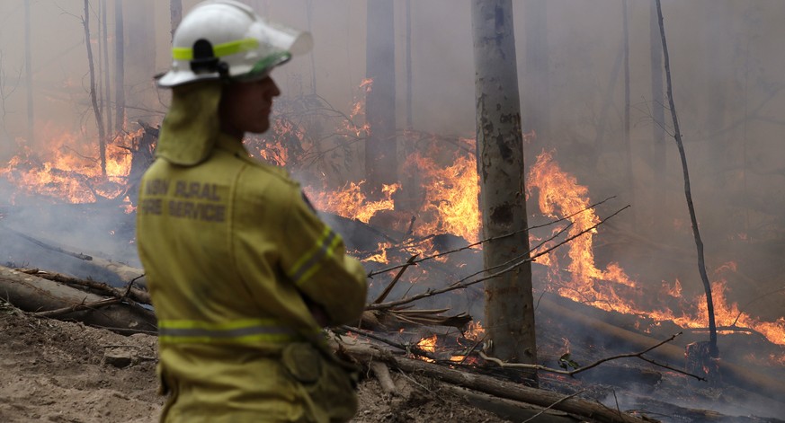 A firefighter keeps an eye on a controlled fire as they work at building a containment line at a wildfire near Bodalla, Australia, Sunday, Jan. 12, 2020. Authorities are using relatively benign condit ...
