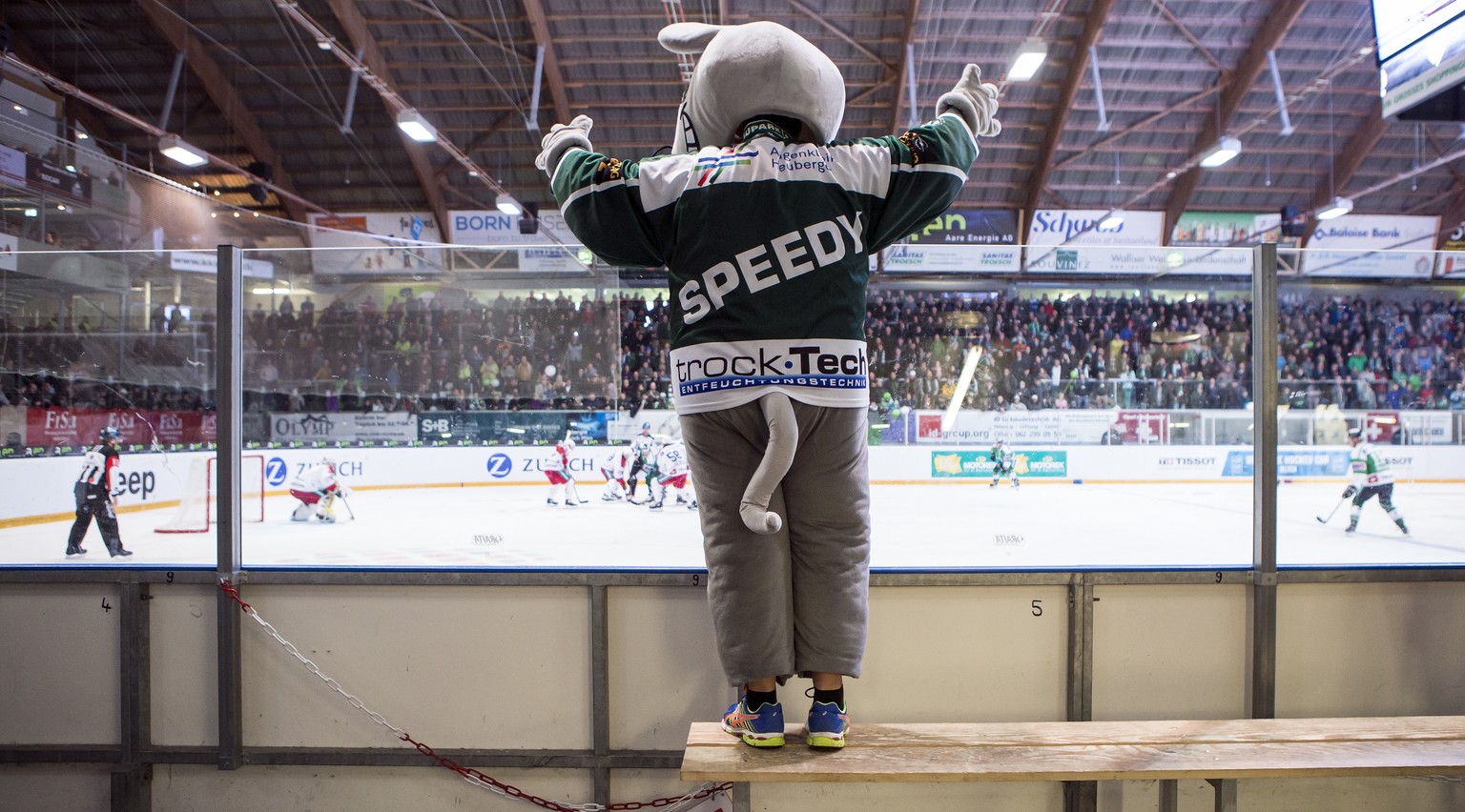 Maskottchen &quot;Speedy&quot; vom EHC Olten waehrend dem Swiss Ice Hockey Cup 1/8 Final zwischen dem EHC Olten und dem EHC Biel-Bienne am Sonntag, 22. Oktober 2017, im Stadion Kleinholz in Olten. (KE ...