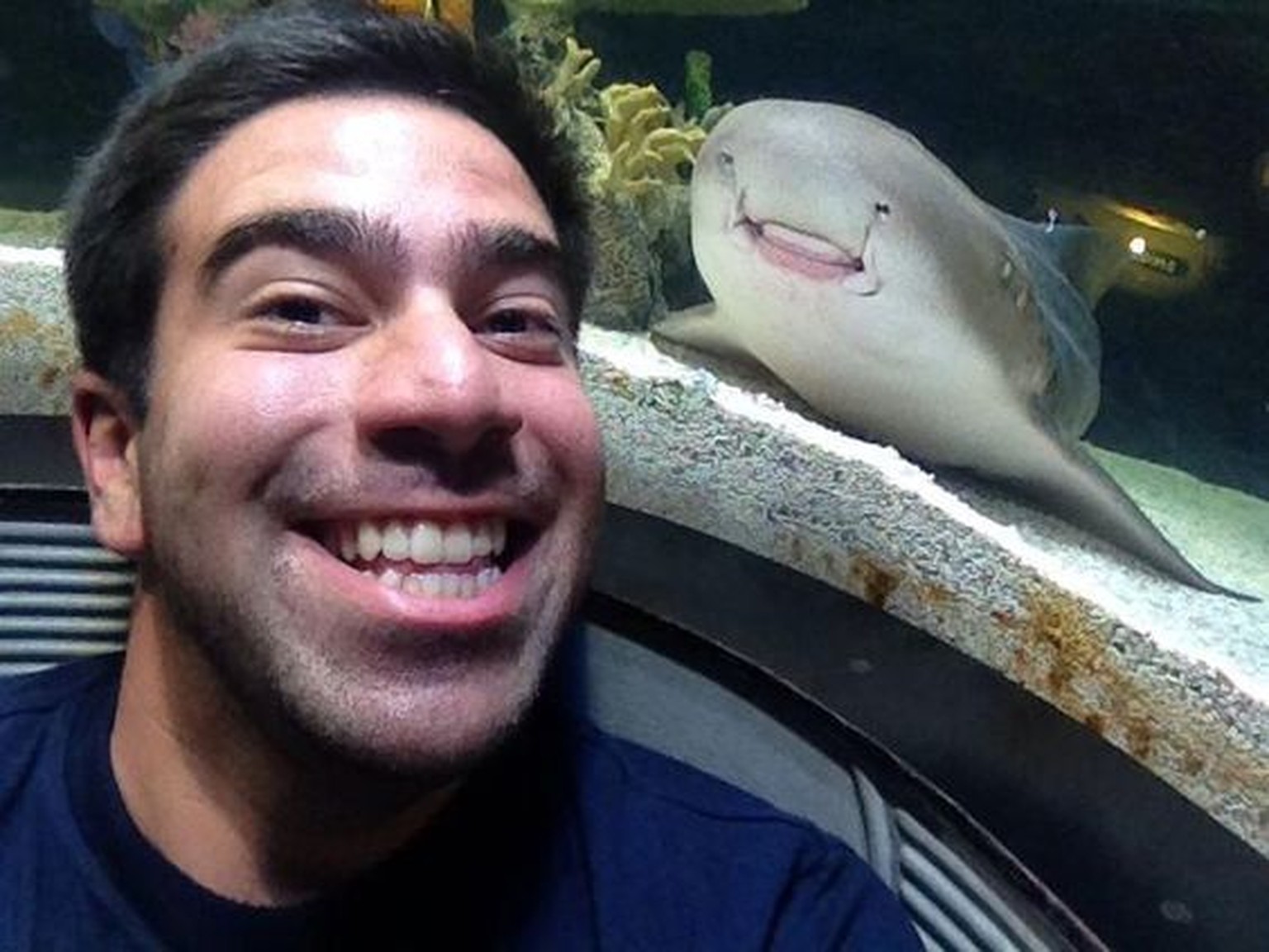 selfie animal photobombs
