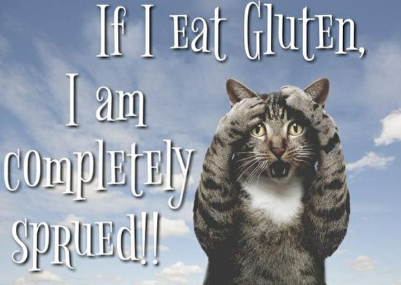 Auch ein schöner Grund gegen Gluten: «Wenn ich Gluten esse, bin ich total prüde!»