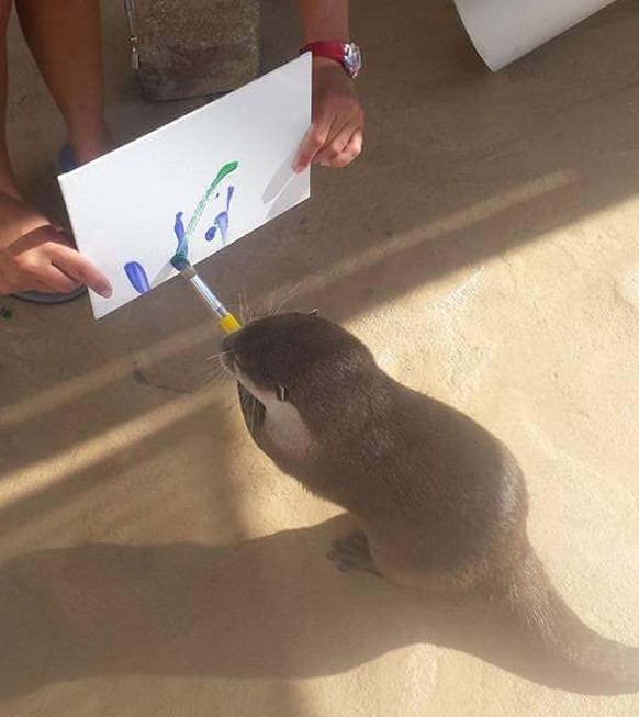 Otter zeichnet
Cute News
https://imgur.com/gallery/dHW51
