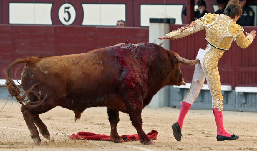 epa07600398 French bullfighter Juan Leal fights a bull during the 12th day of San Isidro bullfighting Fair at Las Ventas bullring in Madrid, 25 May 2019. EPA/JJ. Guillen