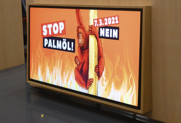 Mitglieder des Referendumskomitees Stop Palmoel erlaeutern im Rahmen einer Medienkonferenz ihre Anliegen, am Montag, 11. Januar 2021 in Bern. Das Referrendum gegen das Freihandelabkommen mit Indonesie ...